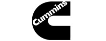 Cummins India Logo